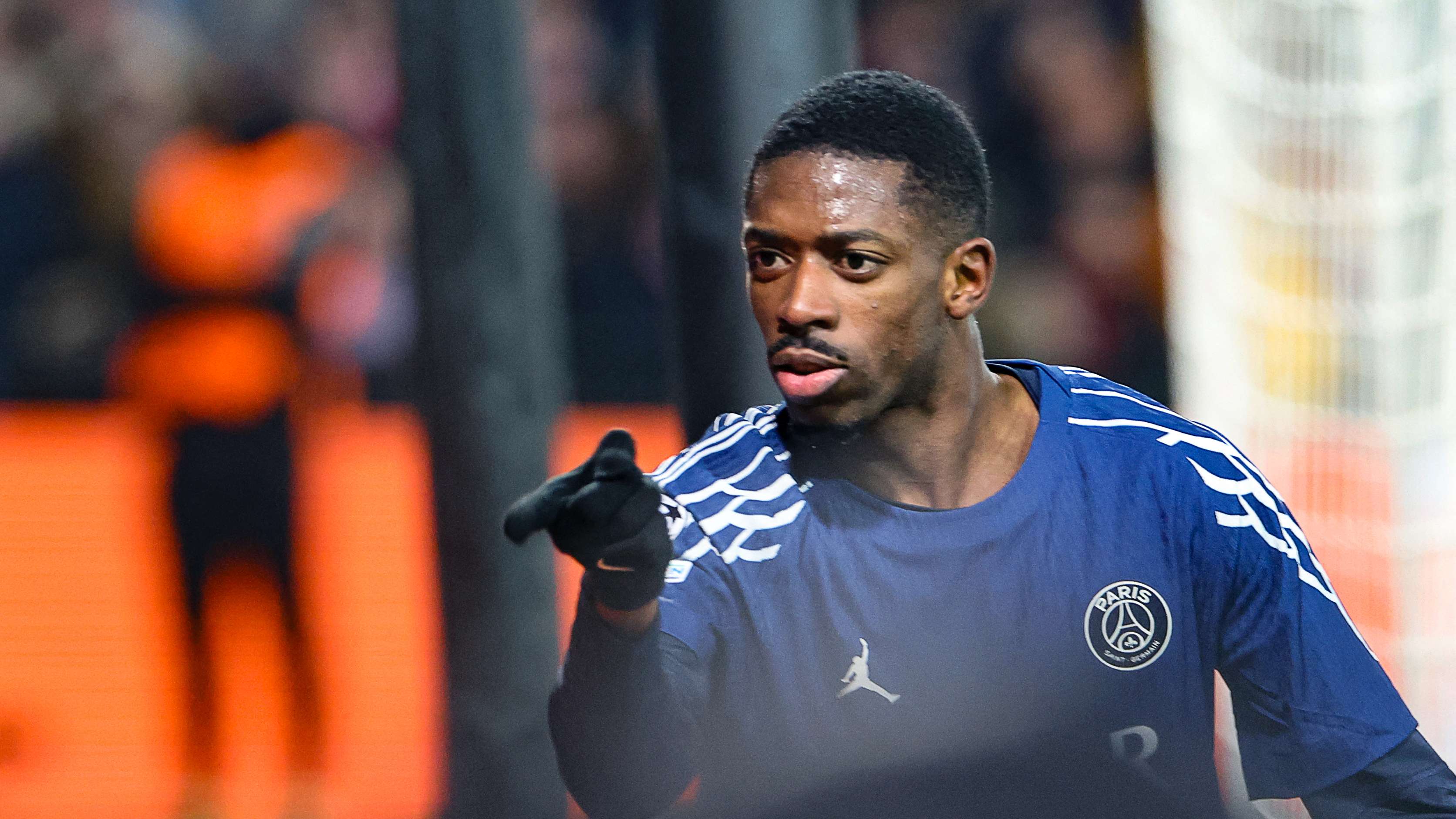 仅丰富了观 仅丰富了观