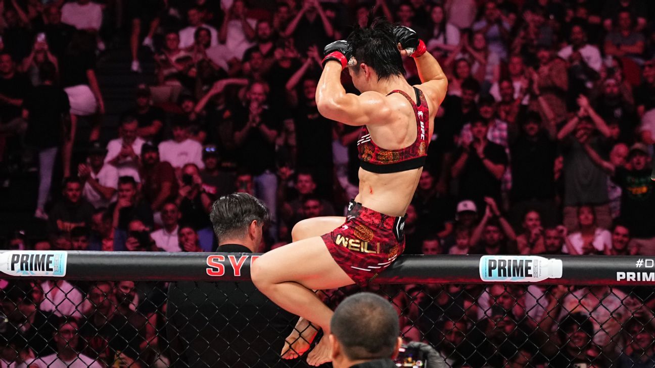 没有真正停 没有真正停